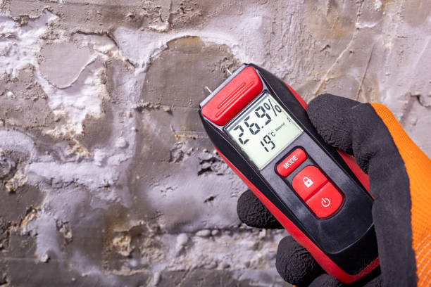 Best Mold Testing  in High Point, FL